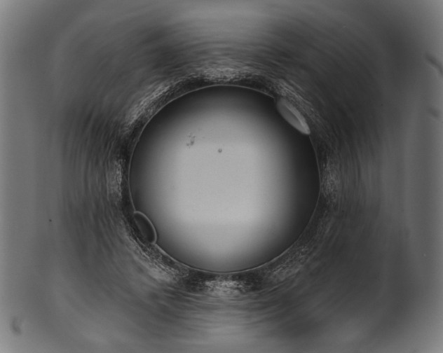 X0000100960448200806241531