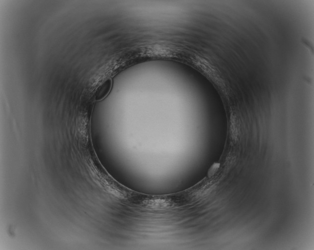 X0000100960449200806241531