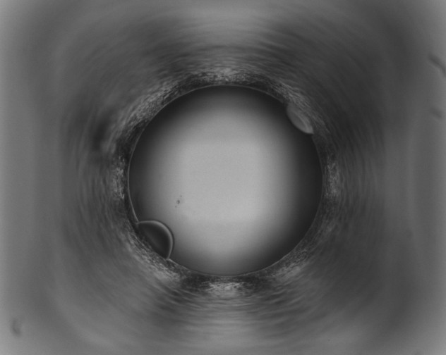 X0000100960450200806241531