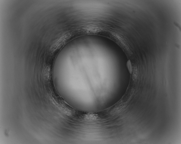 X0000100960451200806241531