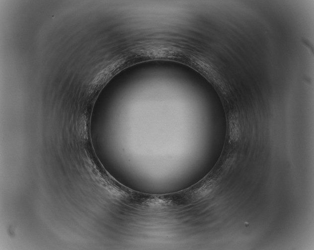 X0000100960453200806241531