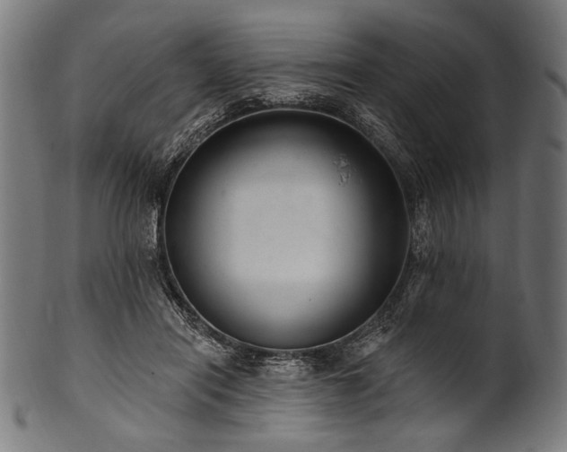 X0000100960454200806241531