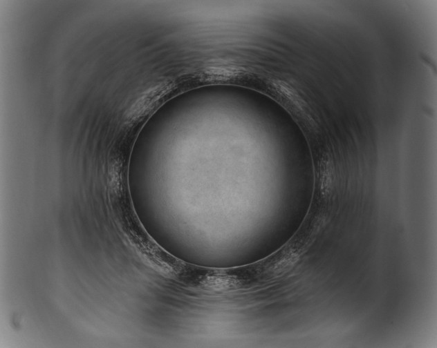 X0000100960455200806241531