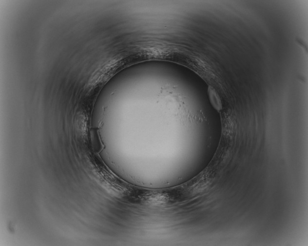 X0000100960456200806241531