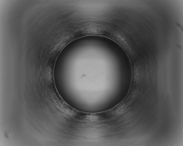 X0000100960457200806241531