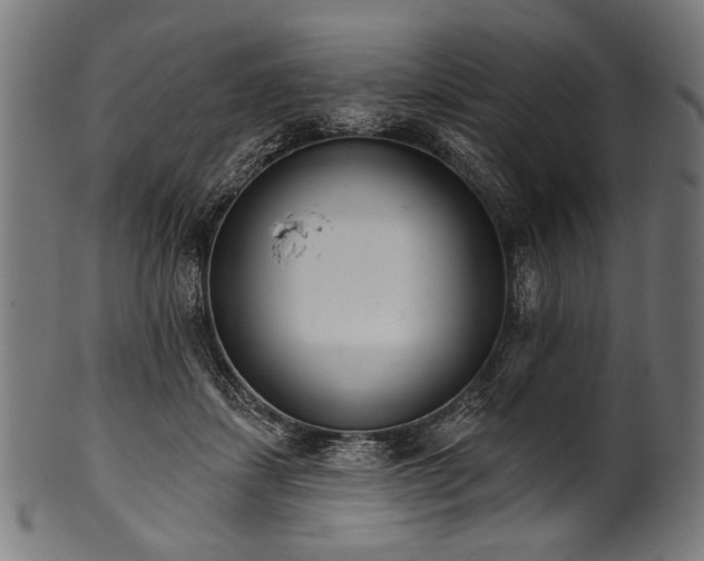 X0000100960459200806241531