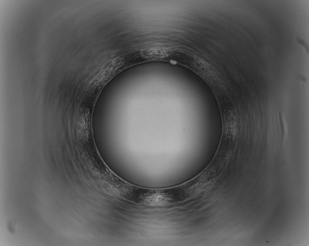 X0000100960460200806241531