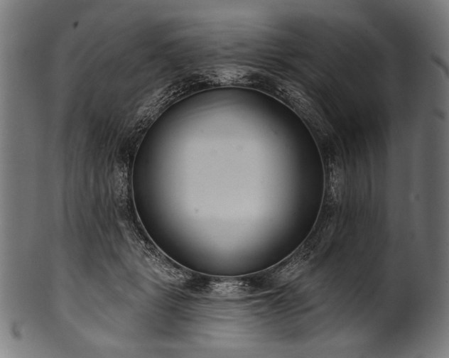 X0000100960461200806241531