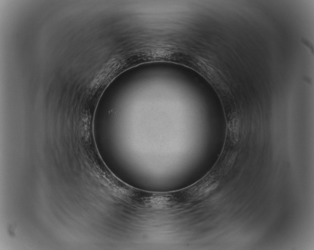 X0000100960462200806241531