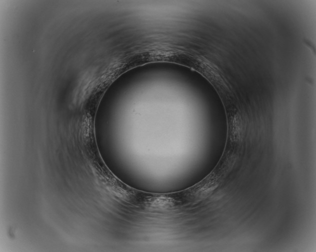 X0000100960463200806241531