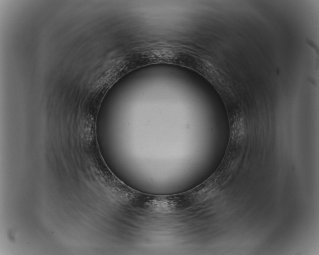 X0000100960464200806241531