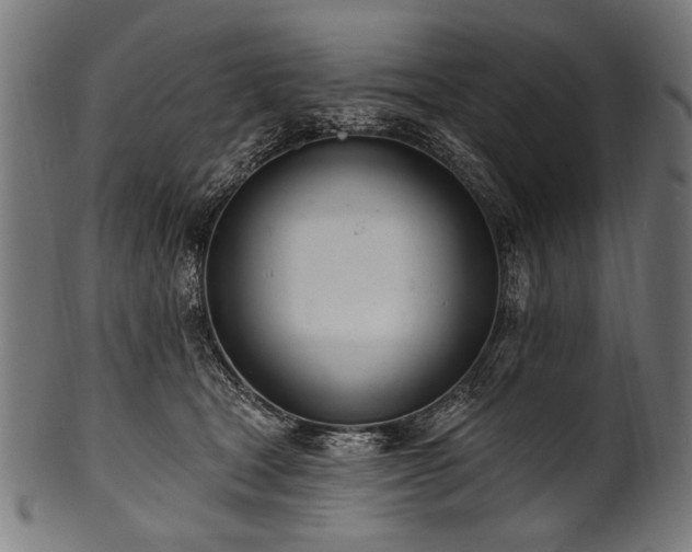 X0000100960465200806241531