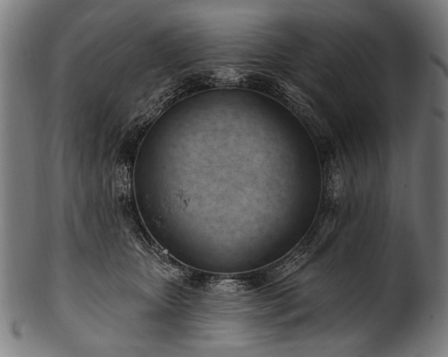 X0000100960467200806241531