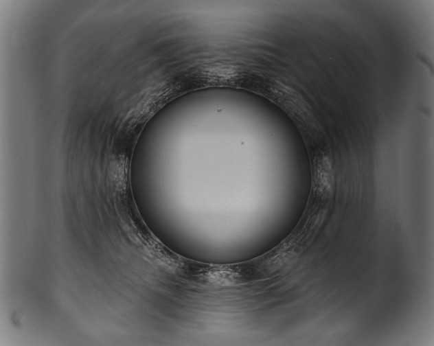 X0000100960468200806241531