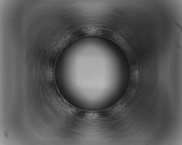 X0000100960469200806241531