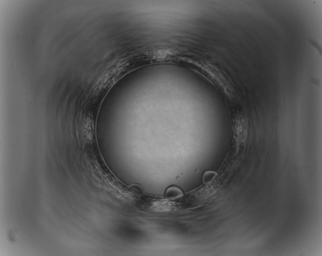 X0000100960470200806241531