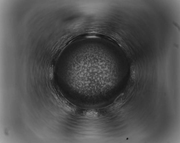 X0000100960471200806241531