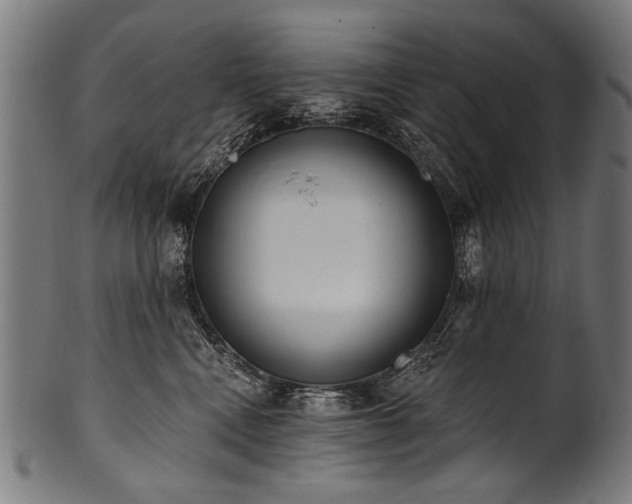 X0000100960472200806241531