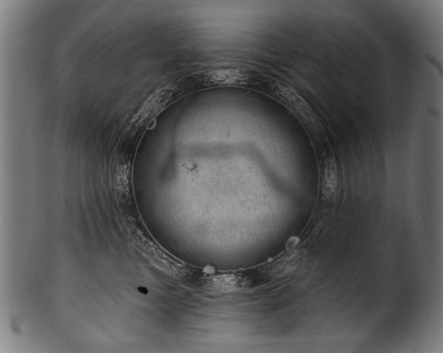 X0000100960473200806241531
