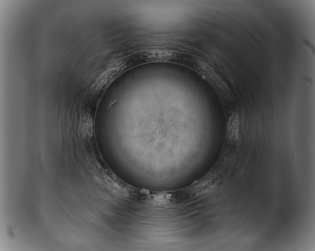 X0000100960474200806241531