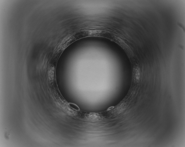 X0000100960475200806241531