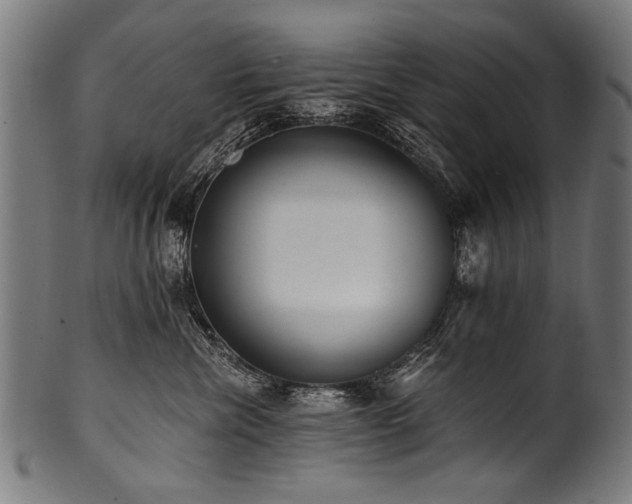 X0000100960476200806241531