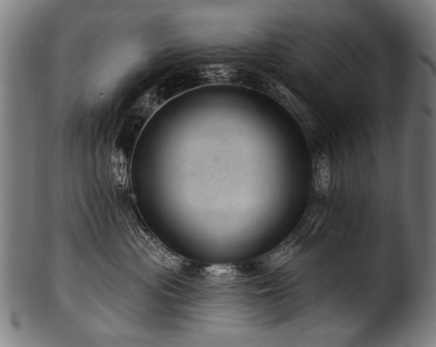 X0000100960477200806241531