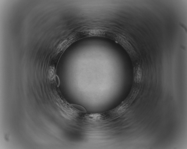 X0000100960478200806241531