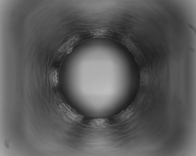 X0000100960479200806241531