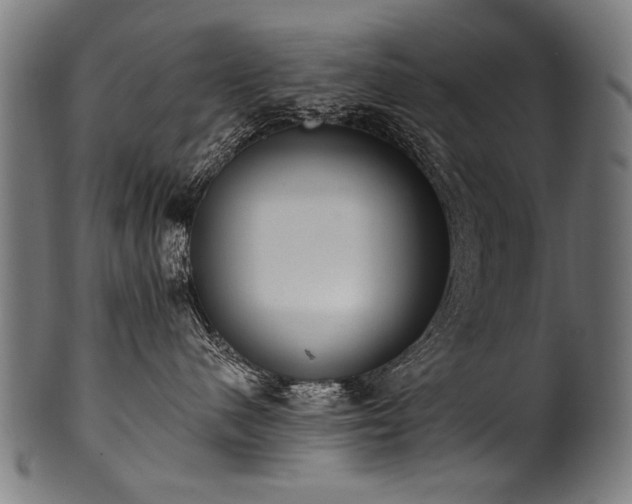 X0000100960480200806241531