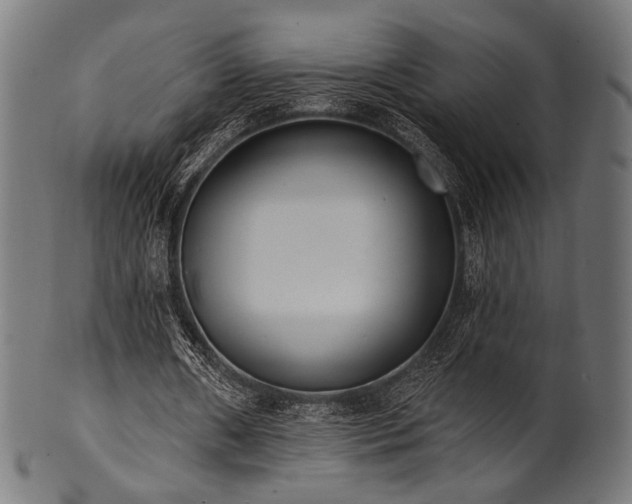 X0000100960482200806241531