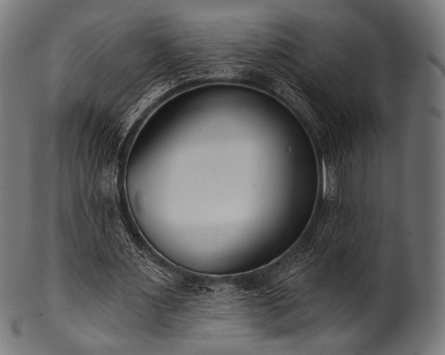 X0000100960483200806241531