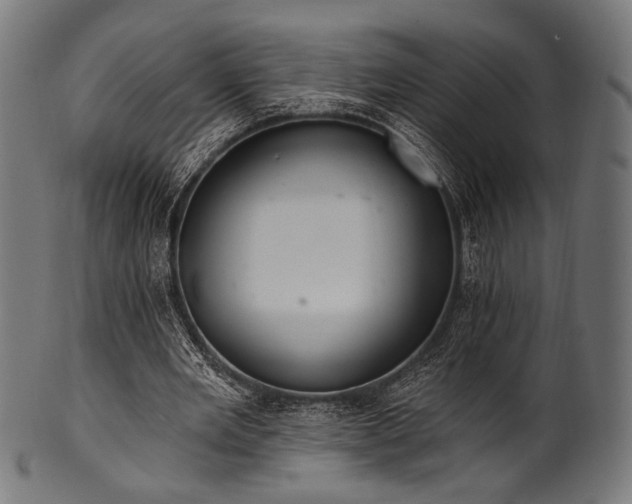 X0000100960485200806241531