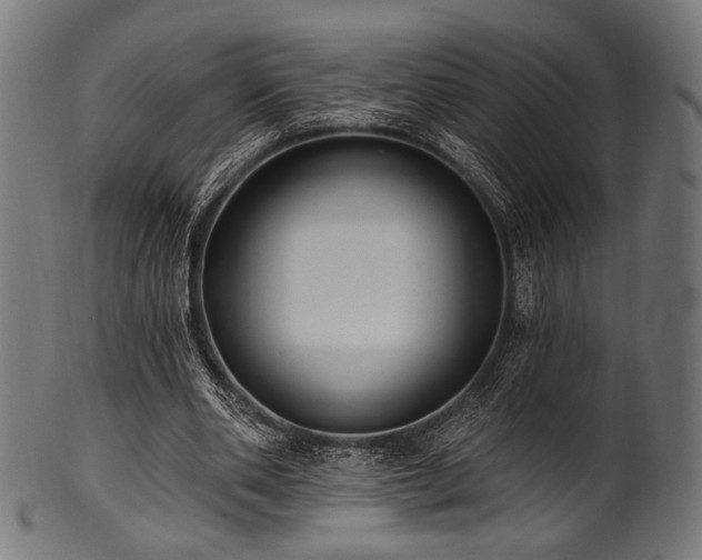 X0000100960486200806241531