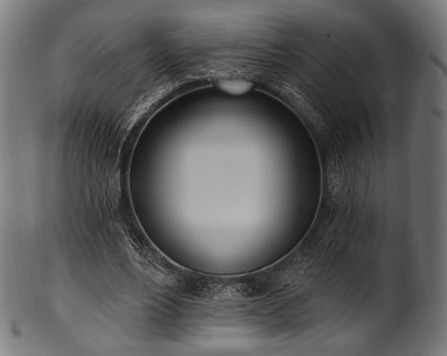 X0000100960488200806241530