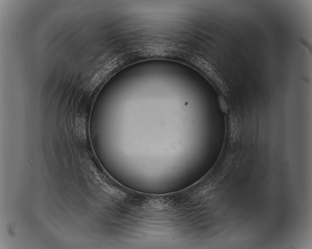 X0000100960489200806241530