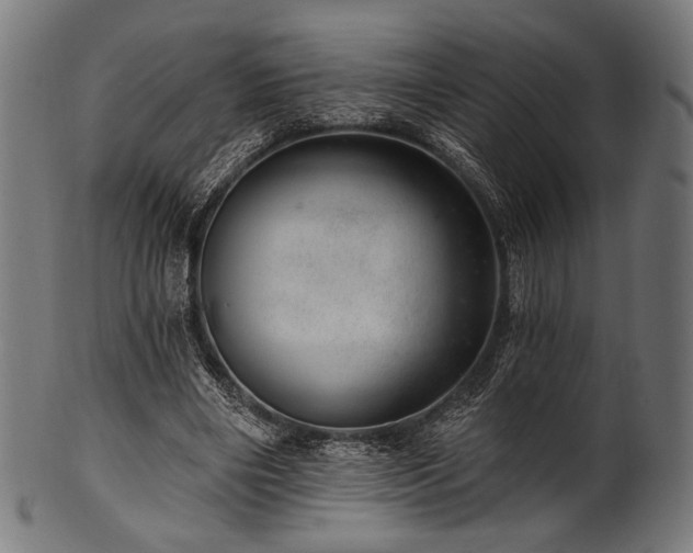 X0000100960490200806241530