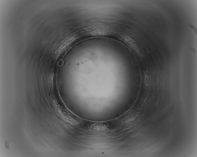 X0000100960491200806241530