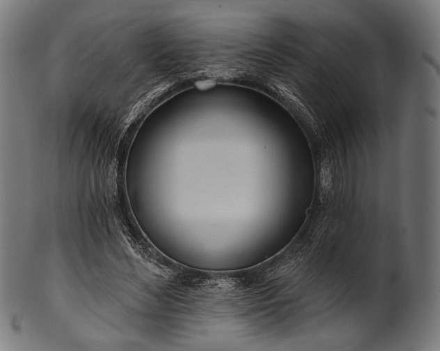 X0000100960492200806241530