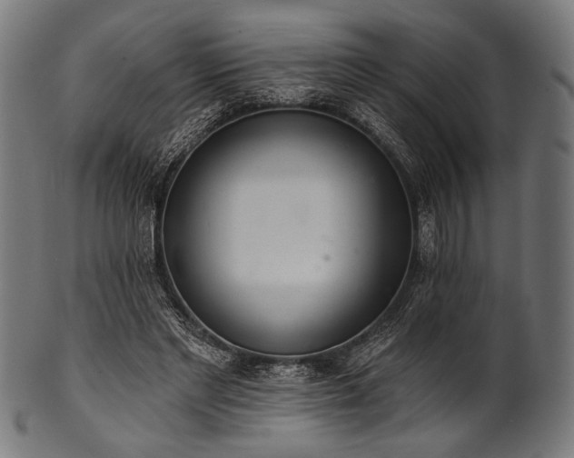 X0000100960493200806241530