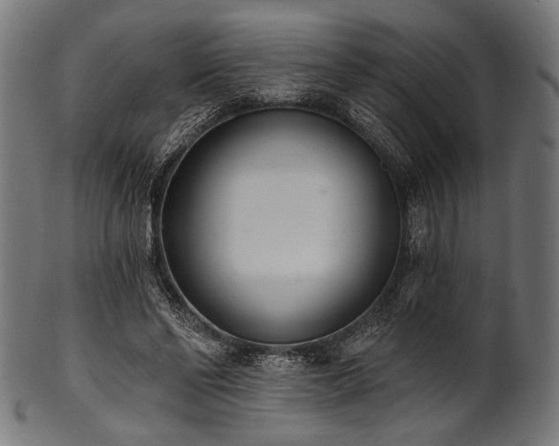 X0000100960494200806241530