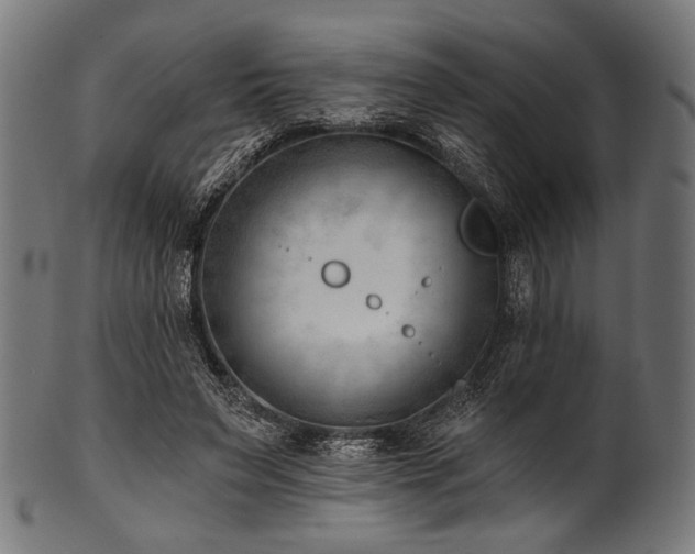 X0000100960495200806241530