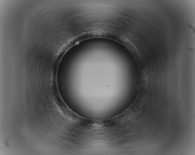 X0000100960496200806241530