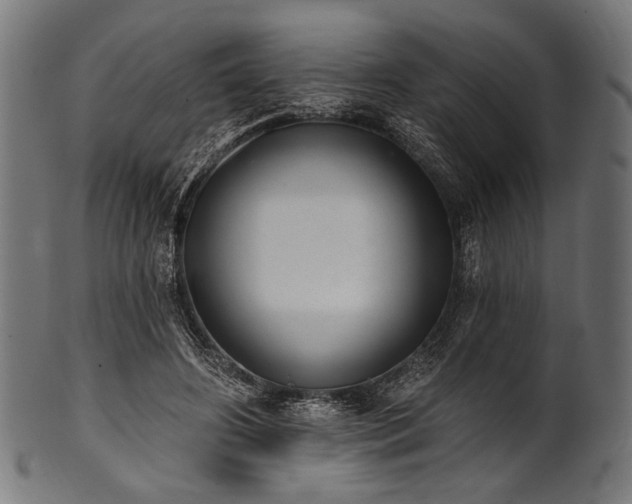 X0000100960498200806241530