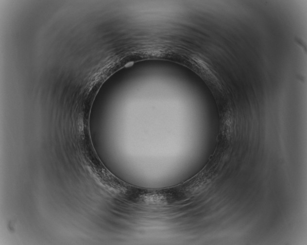 X0000100960500200806241530