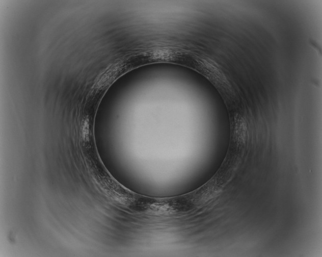 X0000100960502200806241530