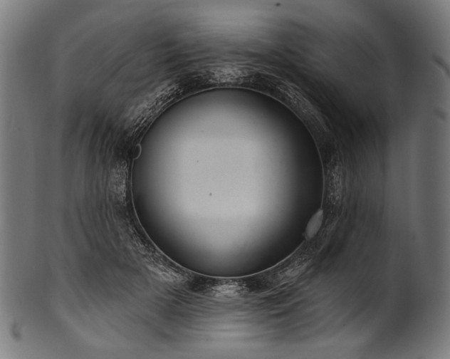 X0000100960505200806241530