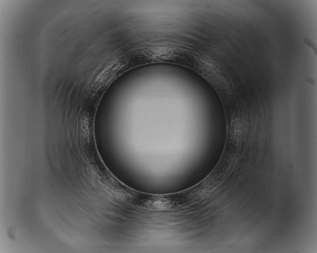 X0000100960506200806241530