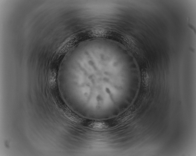 X0000100960507200806241530