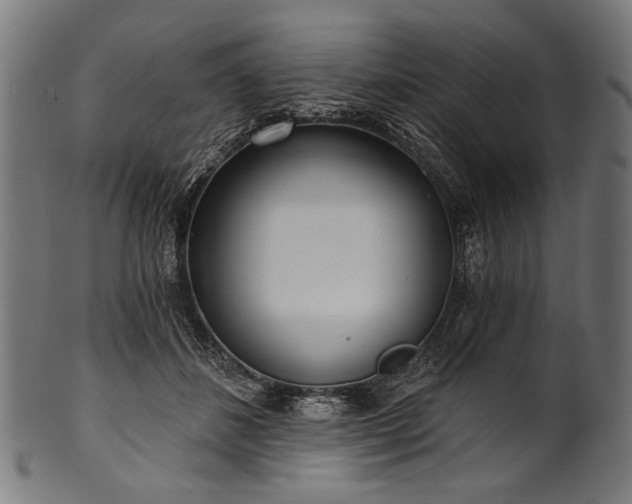 X0000100960508200806241530